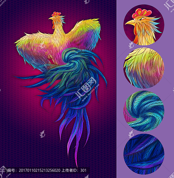 七彩鳳凰,七彩公雞超高清文件