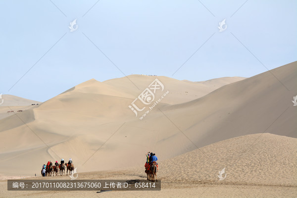 沙漠駱駝