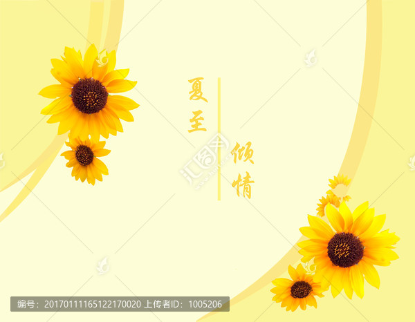 夏至,向日葵