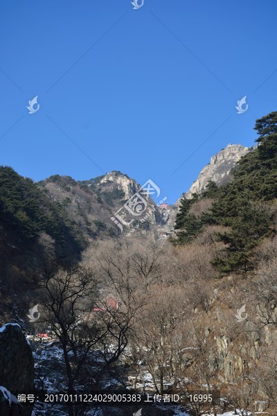 泰山