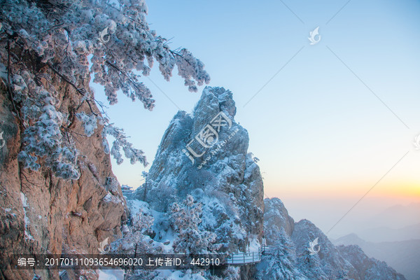 雪景