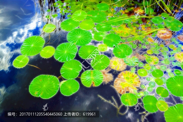 荷葉抽象畫
