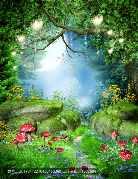 夢(mèng)幻原始森林野花蘑菇小路玄關(guān)