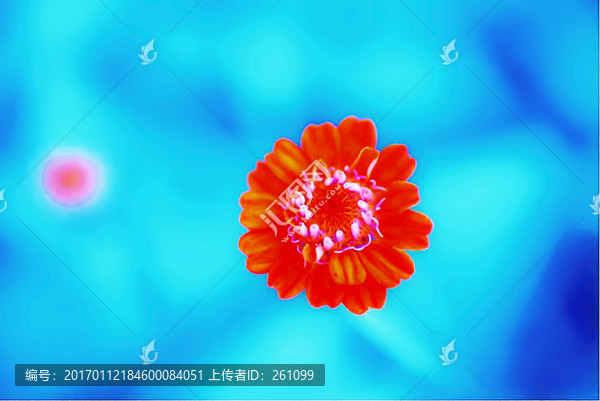 裝飾畫