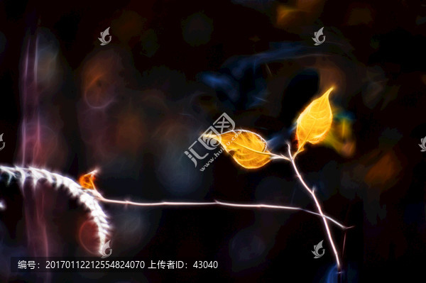 藝術(shù)線畫