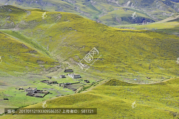 高原草原,西藏风光