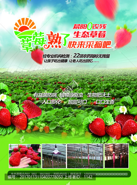 草莓單頁