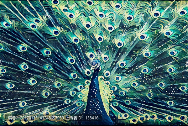 裝飾畫孔雀開屏