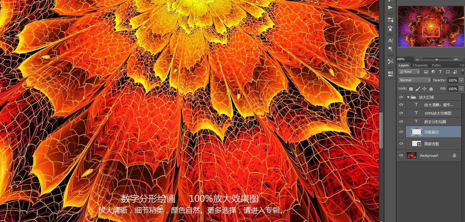 花朵