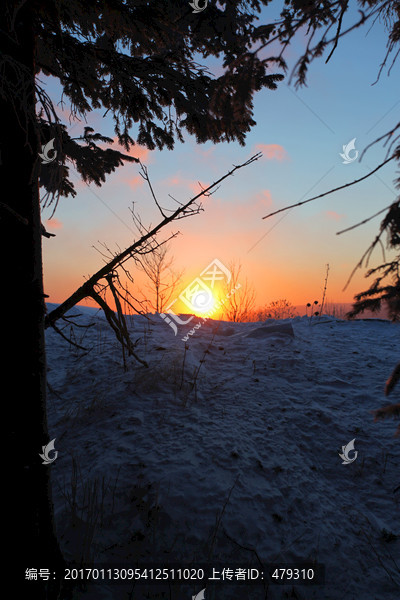 林海雪原,雪乡