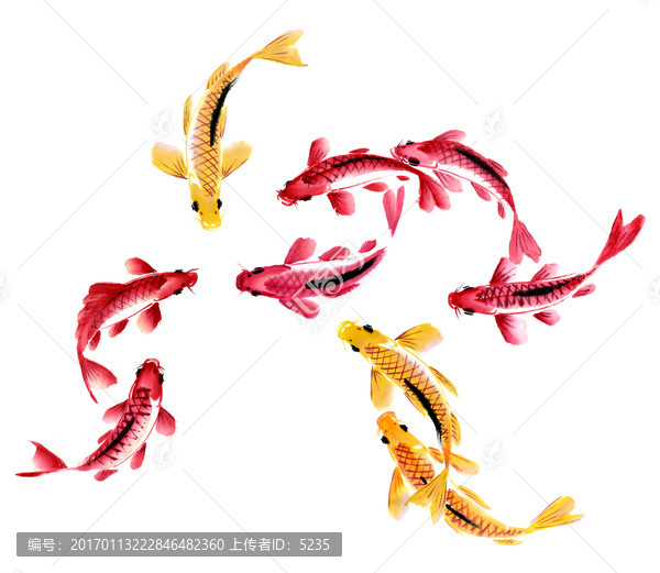 九魚圖