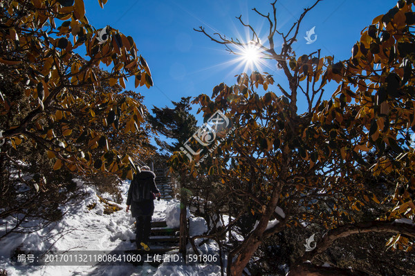 轿子雪山风光