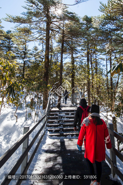 走在林海雪地栈道红衣少女