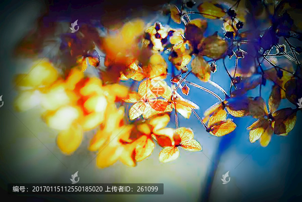 裝飾畫