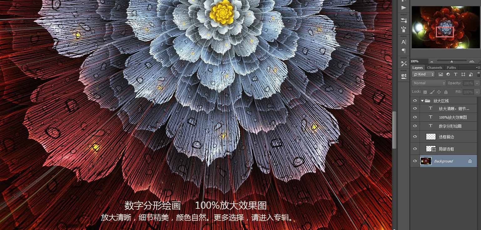 花朵