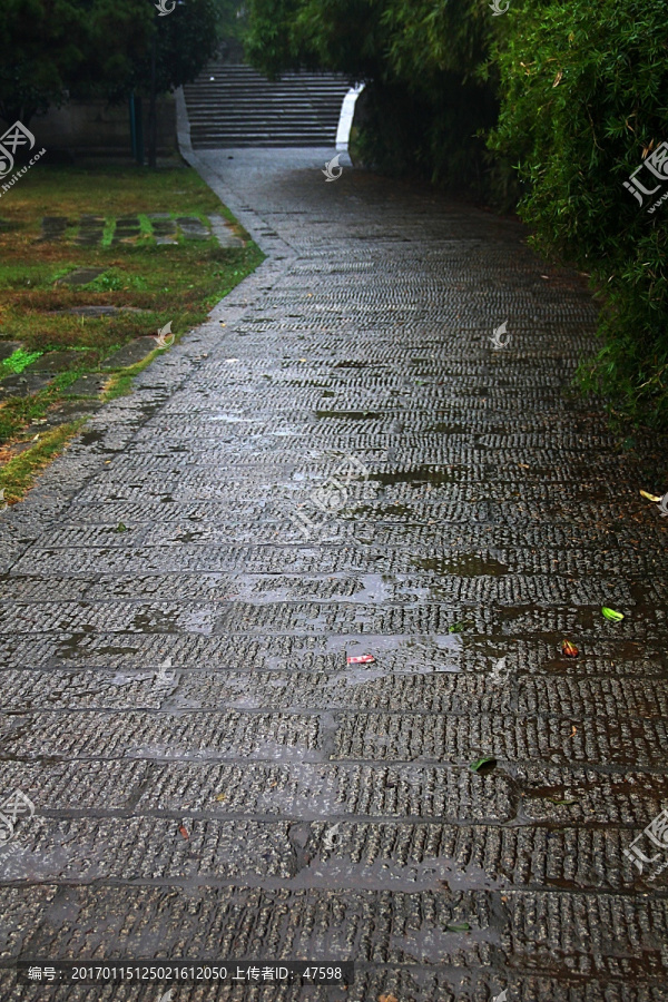 公园,雨后的石板路