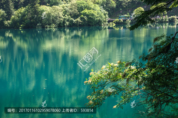 九寨沟森林树木绿树清澈湖泊湖水