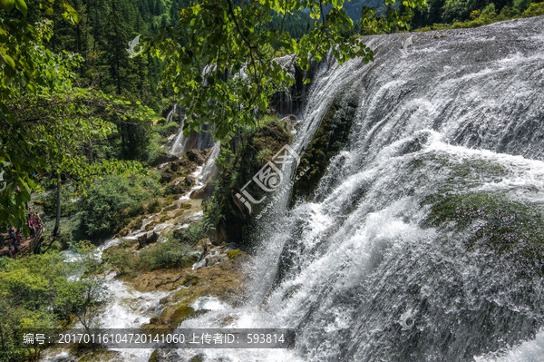 九寨溝高山森林小溪瀑布流水