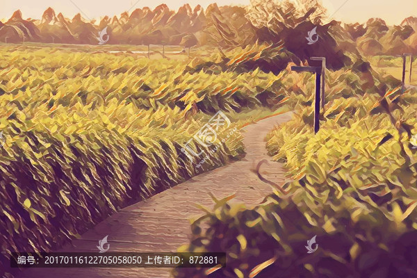 草叢小道水彩畫