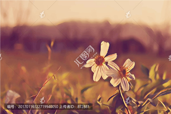 花朵水彩畫