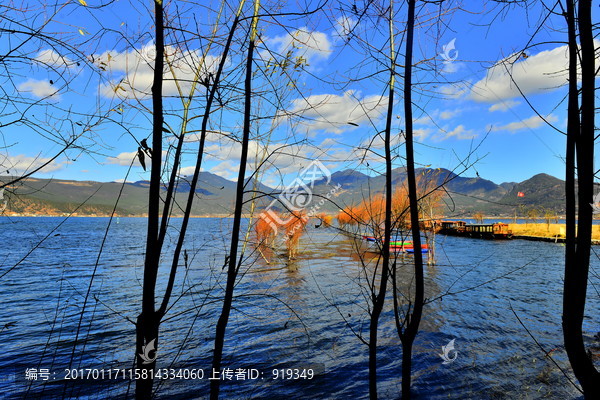 麗江拉市海濕地