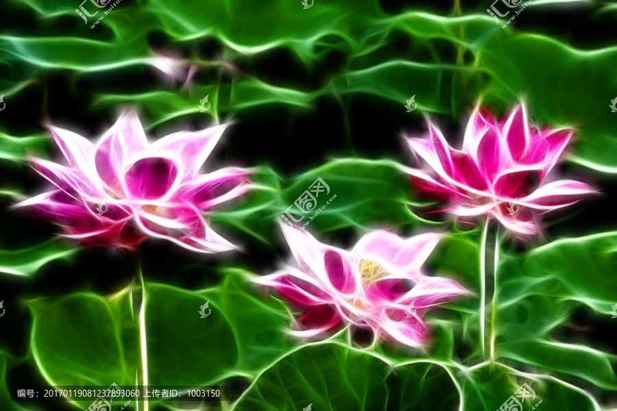 荷花抽象畫,無框畫