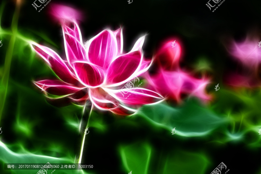 荷花抽象畫(huà),無(wú)框畫(huà)