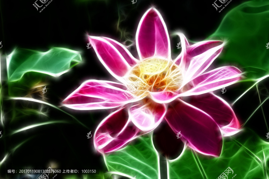 荷花抽象畫,無框畫