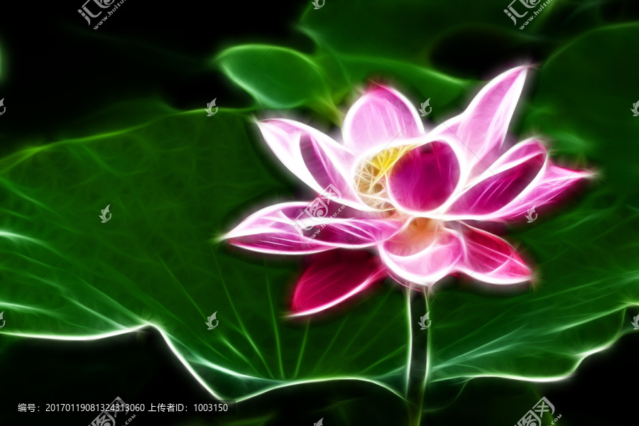 荷花無框畫,抽象畫