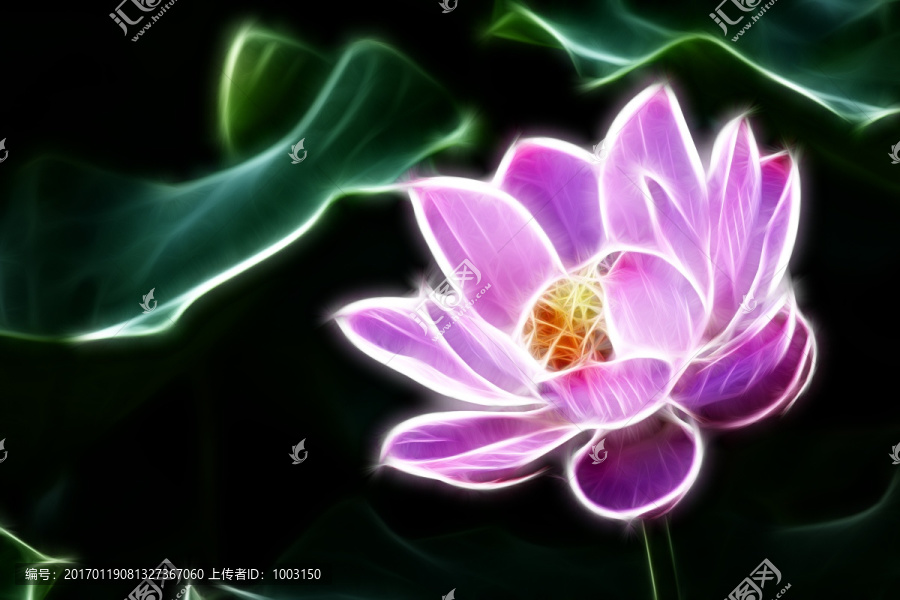 荷花無框畫,抽象畫