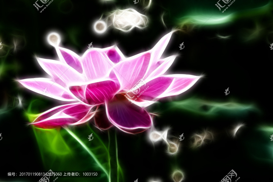 荷花無框畫,抽象畫