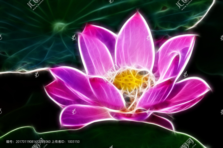 荷花無框畫,抽象畫