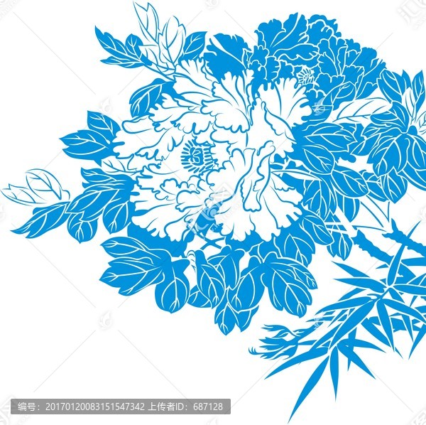 牡丹花