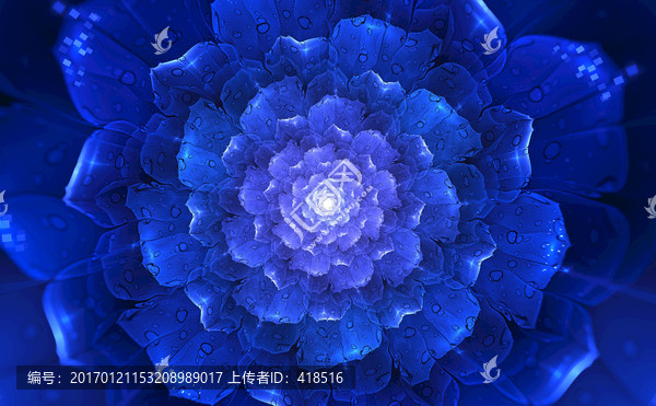 花朵