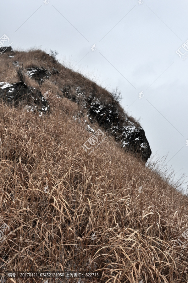 高山云雾枯草