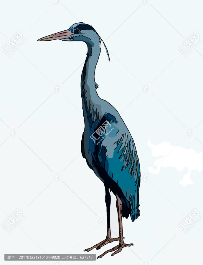 非洲鳥(niǎo)類(lèi)