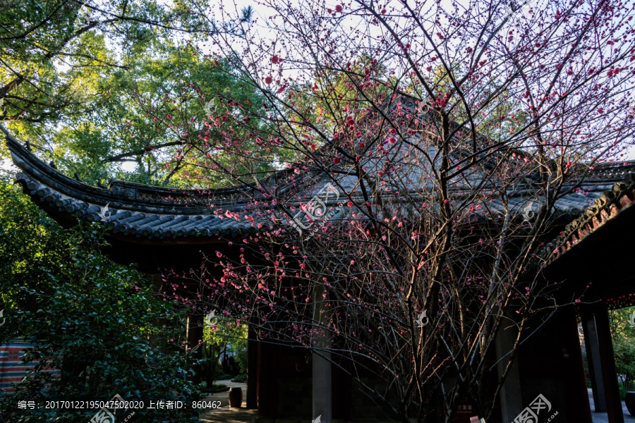 中式园林景点,园林,古建筑