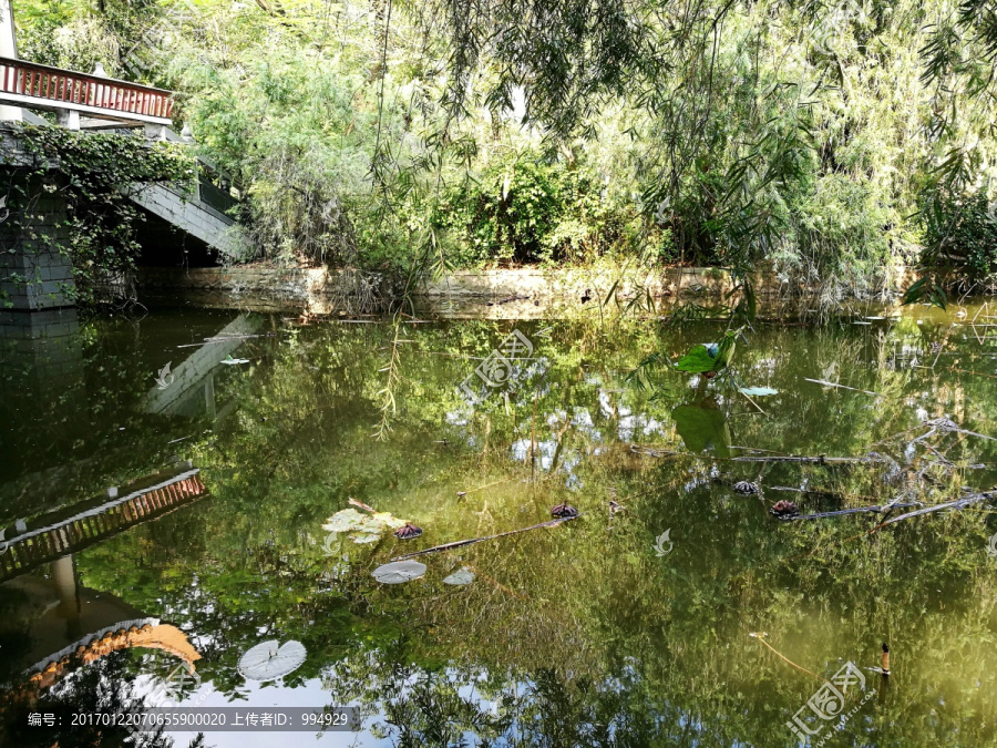 深圳罗湖洪湖公园景区