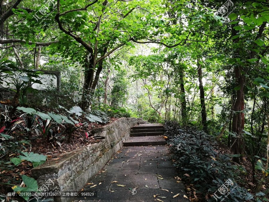 深圳罗湖东湖公园景区