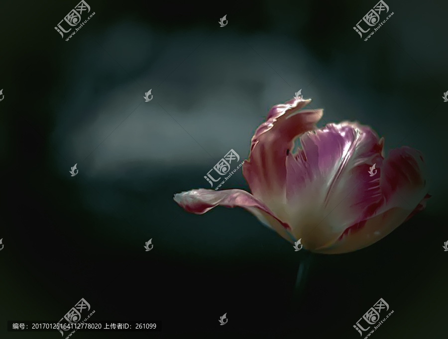 裝飾畫