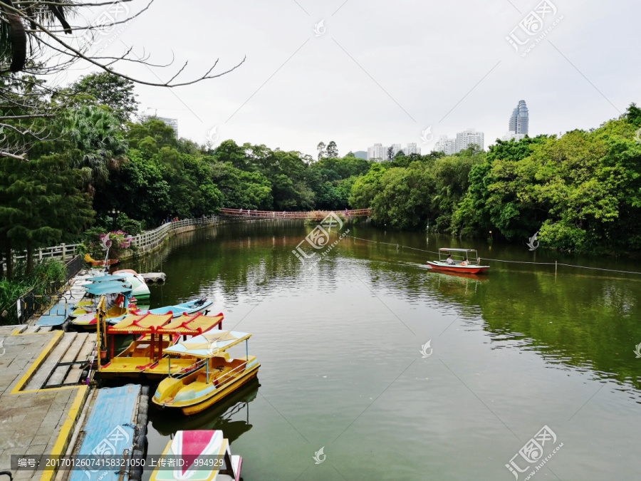 深圳东湖公园美景