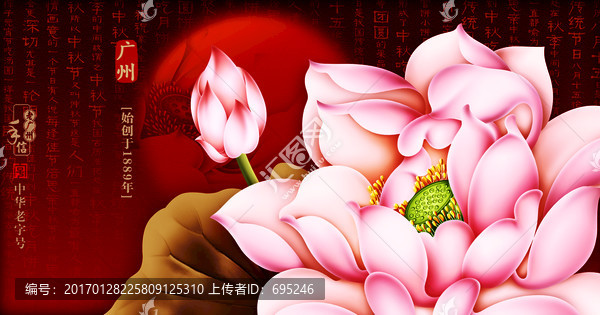 荷花明月