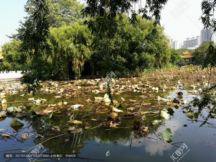 山水风光