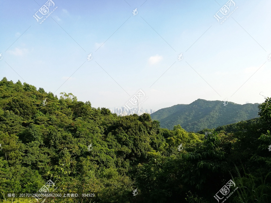 深圳南山塘朗山森林公园