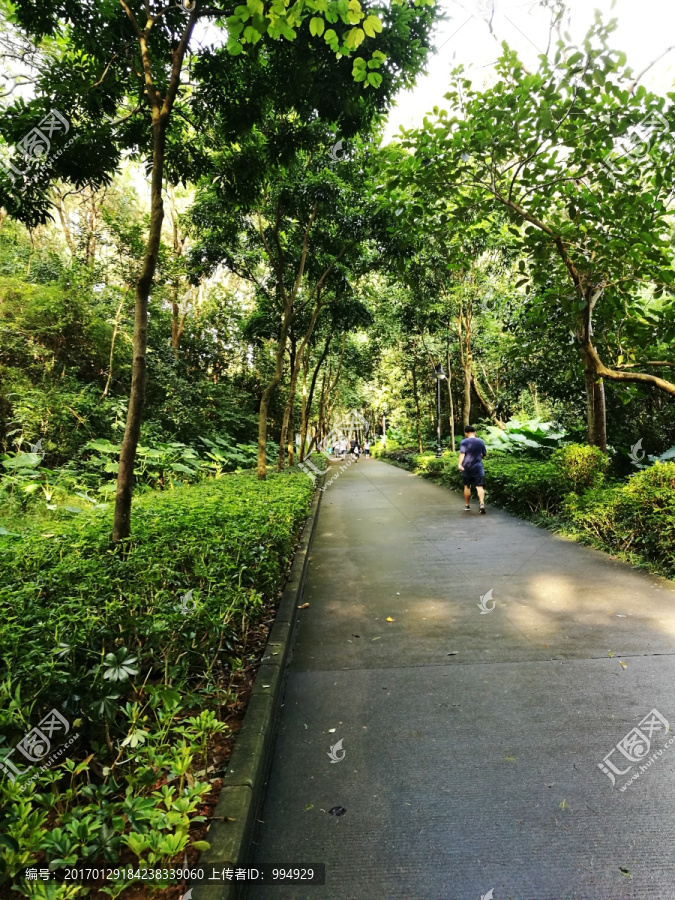 深圳笔架山公园道路