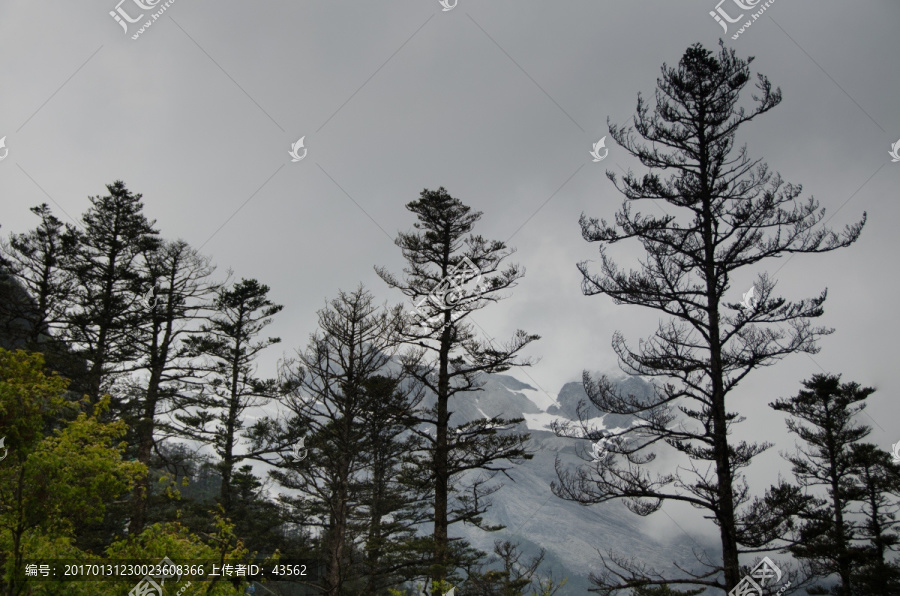 玉龙雪山