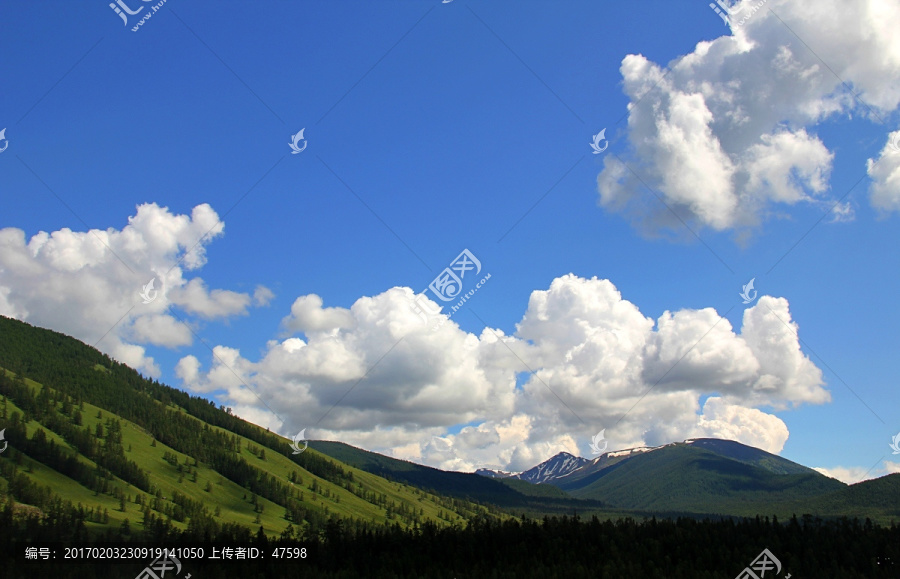 新疆,喀纳斯,湖泊,高山