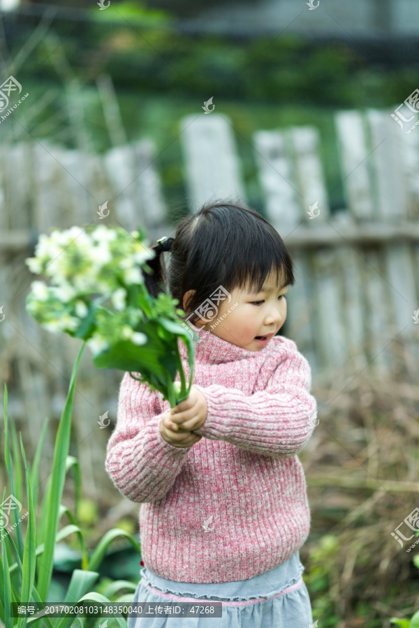 亲子游,深山,菜园,菜地,摘菜,农家乐