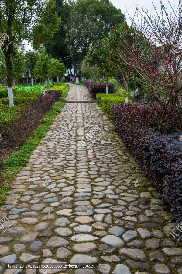 永嘉苍坡村,鹅卵石路