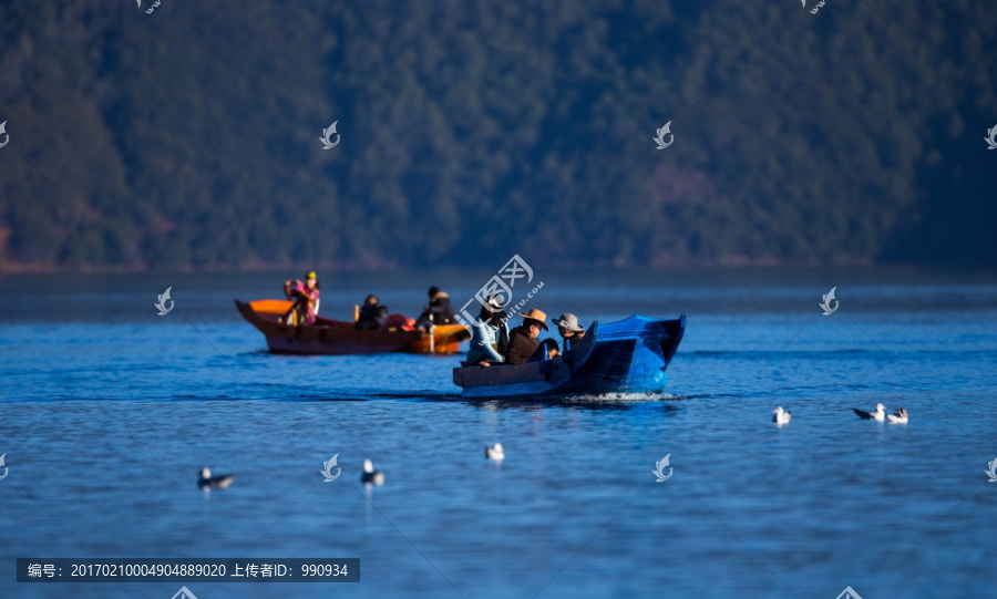 泸枯湖,人与鸟